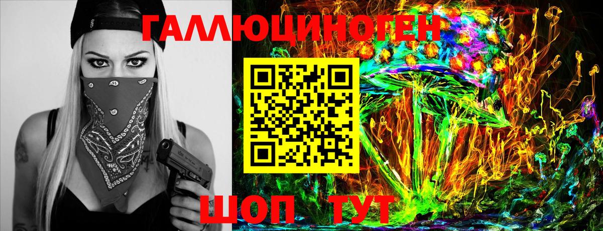 Астрахань  Псилоцибиновые грибы Psilocybe  Вход с VPN 