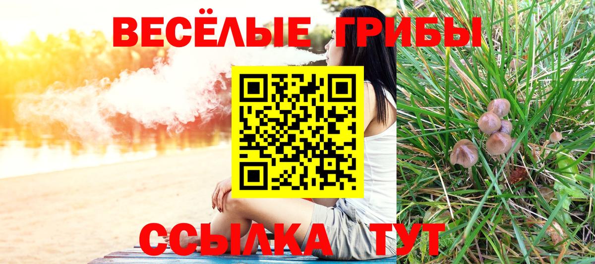 Псилоцибиновые грибы Psilocybe Астрахань